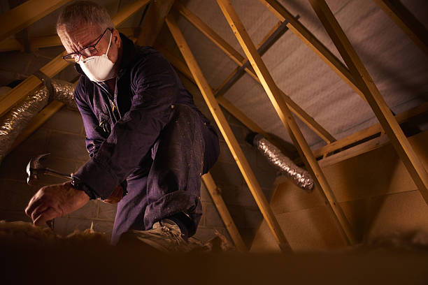 Best Insulation Maintenance and Repair in Portland, ME